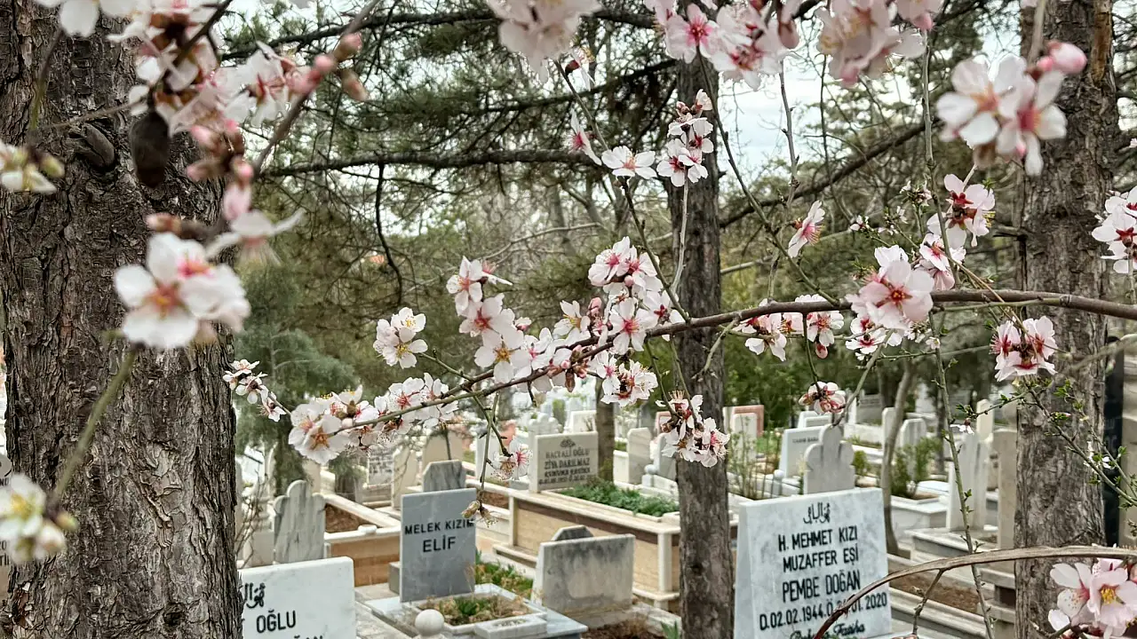 Konya'da 25 Mayıs 2026 Pazartesi günü vefat edenler