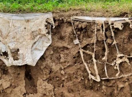 Toprağa 2 bin çift külot gömdüler! Şaşırtan neden aylar sonra ortaya çıktı