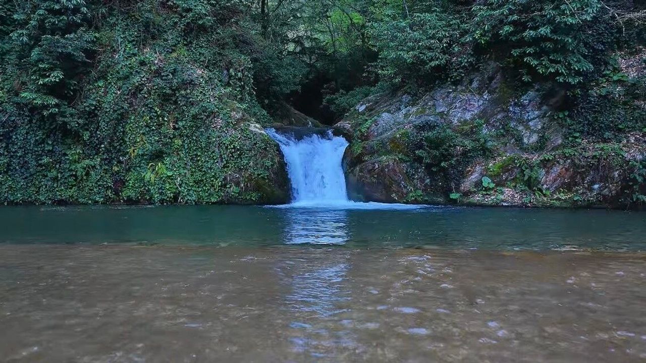 İstanbul'un yanı başındaki doğa harikası