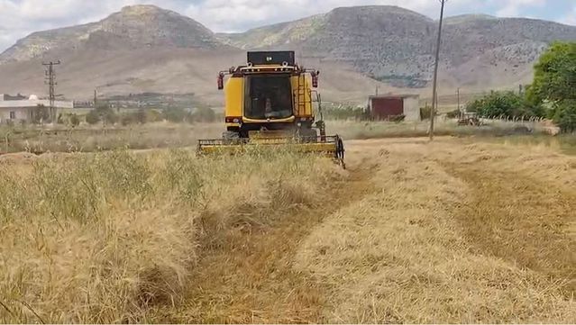 Mardin'de İlk Arpa Hasadı Yapıldı