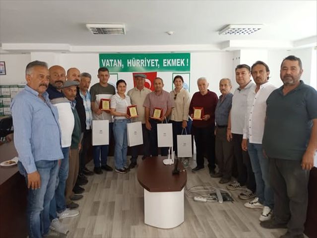 Kumluca'dan Sofralara 'Altın Damlalar': Zeytinyağı Kalitesi Ulusal Arenada Tescillendi