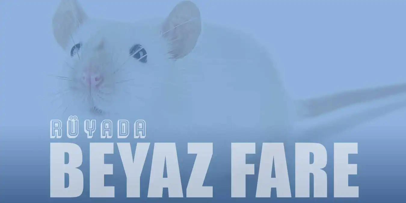 Beyaz Fare Rüyası: Uzun Ömür ve Bereket İşareti